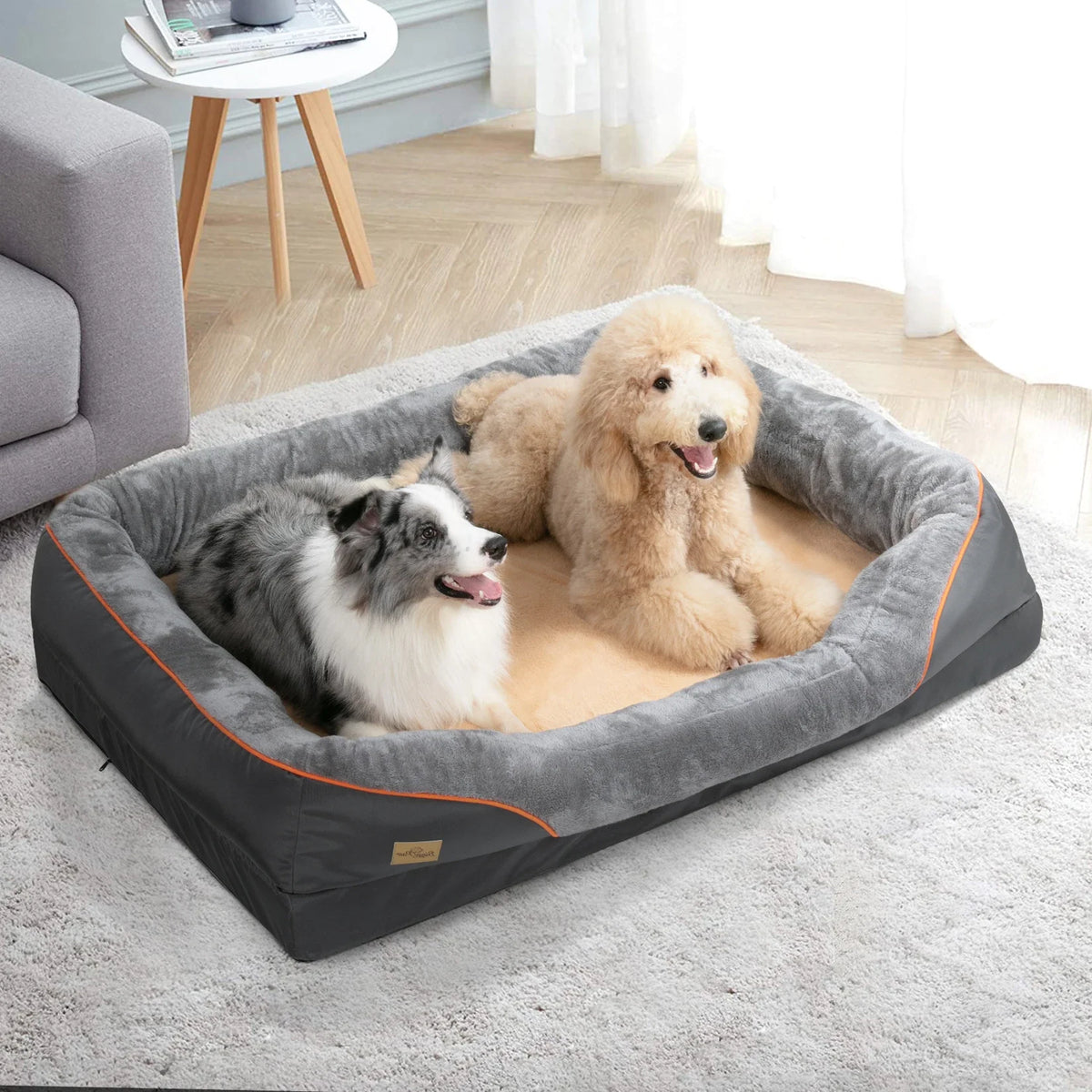 Foam Dog Bed with Removable Washable Cover | Hetriv