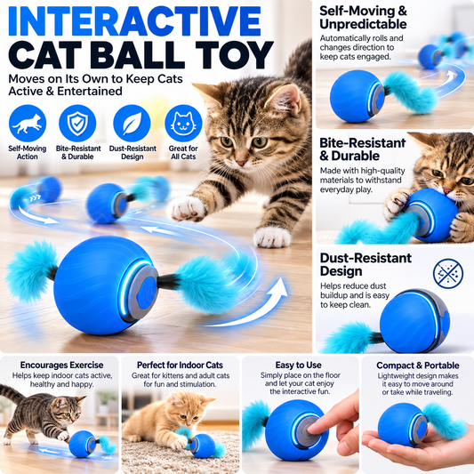 interactive Rolling Ball Cat Toy, Self-Moving Smart Ball, Bite-Resistant, Dust-Free Fun Exercise Toy for Cats